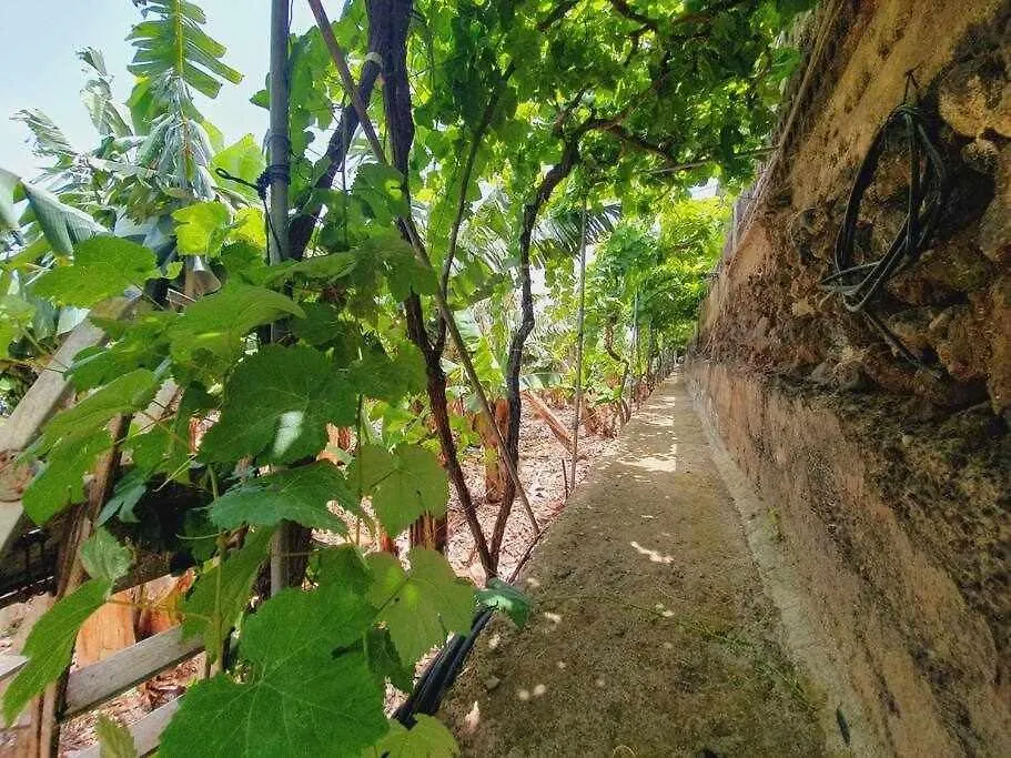 Holiday home Finca Interian Los Silos